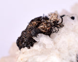 6.6cms NATIVE SILVER WIRE CALCITE PERU UCHUCCHACUA MINE MINERAL SPECIMEN HB246