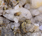 11cms CALCITE TOOTH DOG WITH QUARTZ CRYSTALS PERU SHINY MINERAL SPECIMEN QB103