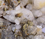 11cms CALCITE TOOTH DOG WITH QUARTZ CRYSTALS PERU SHINY MINERAL SPECIMEN QB103