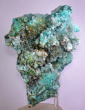 20cm GEM CHRYSOCOLLA IN SELENITE LILY MINE PERU MALACHITE STALACTITES CB359