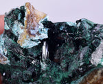 5.6cms ATACAMITE DRUZY MALCHITE CHRYSOCOLLA LILY MINE PERU MINERAL AB88