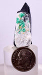 3.3cm EMERALD CRYSTAL PYRITE SLATE CALCITE QUARTZ COLOMBIA MINERAL SPECIMEN EB24