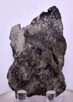 6.9cms PROUSTITE RED RUBY SILVER PERU UCHUCCHACUA MINE MINERAL SPECIMEN HB147