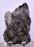 6.9cms PROUSTITE RED RUBY SILVER PERU UCHUCCHACUA MINE MINERAL SPECIMEN HB147