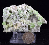 6.8cms AUGELITE CRYSTAL PERU DARK GREEN BRIGHT NEEDLE QUARTZ PASTO BUENO A573