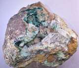 14cms GEM ATACAMITE INSIDE SELENITE CRYSTAL LILY MINE 2000 DISCOVERY PERU AB183