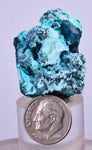 3cm GEM BLUE MALACHITE CHRYSOCOLLA PERU ROSETTE BOTRYOIDAL CRYSTAL GRAPE  UB126