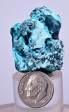 3cm GEM BLUE MALACHITE CHRYSOCOLLA PERU ROSETTE BOTRYOIDAL CRYSTAL GRAPE  UB126