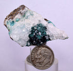5cms GEM CLINOATACAMITE CRYSTAL MALACHITE LILY MINE 2000 DISCOVERY PERU AB159