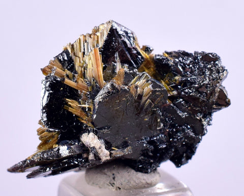 2.5cms GOLDEN RUTILE HEMATITE SPRAY NEEDLES CRYSTALS TITANIUM BAHIA BRAZIL  XB08