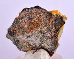 3.2cms GEM WULFENITE FLUORITE CRYSTALS ALAMO ARIZONA USA MINERAL SPECIMEN YB31