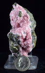6.9cms RHODOCHROSITE ROSETTE PYRITE CRYSTALS PERU MINERAL SPECIMEN RB528