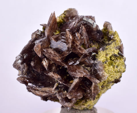 3.3cms PREMIUM AXINITE CRYSTALS PERU AESTHETIC COLLECTOR AB192