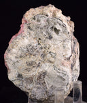 7.8cms RHODOCHROSITE QUARTZ CRYSTAL RHOMBOHEDRAL SUPER MINIATURE RB625