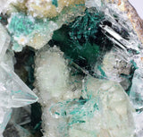14cms GEM ATACAMITE INSIDE SELENITE CRYSTAL LILY MINE 2000 DISCOVERY PERU AB183