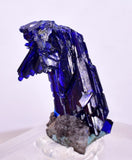 2.3cm GEM AZURITE CRYSTALS TSUMEB NAMIBIA ON MATRIX ROYAL BLUE SHARP SHINY UB239