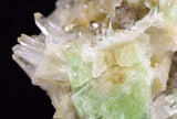 8.5cms AUGELITE CRYSTAL PERU DARK GREEN BRIGHT NEEDLE QUARTZ PASTO BUENO AB179