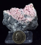 4.9cms RHODOCHROSITE ROSETTE PYRITE CRYSTALS PERU MINERAL SPECIMEN RB576