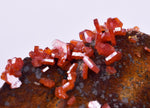 6cm VANADINITE HOLLANDITE CRYSTAL MIBLADEN MOROCCO  MINERAL SPECIMEN WB34