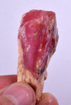 52 grams GEM PINK OPAL PERU ROUGH CORAL COLOR TRANSLUCENT MINERAL PB57