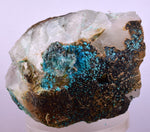 11cms CHRYSOCOLLA QUARTZ  BOTRYOIDAL TENTADORA MINE PERU MINERAL SPECIMEN CB188