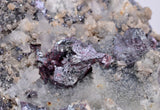 6.7cms PROUSTITE RED RUBY SILVER MINERAL PERU UCHUCCHACUA MINE SPECIMEN HB218