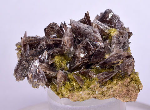 3.7cms PREMIUM AXINITE QUARTZ CRYSTALS PERU AESTHETIC COLLECTOR AB191