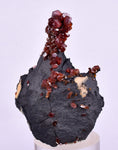 4.7cm VANADINITE HOLLANDITE CRYSTAL MIBLADEN MOROCCO MINERAL SPECIMEN WB23