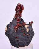 4.7cm VANADINITE HOLLANDITE CRYSTAL MIBLADEN MOROCCO MINERAL SPECIMEN WB23