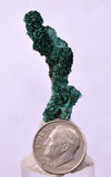 3.8cms MALACHITE CRYSTALS MINERAL SPECIMEN AHOULI MINES MOROCCO UB233