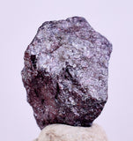 1cms PYRARGYRITE RUBY SILVER PERU UCHUCCHACUA MINE MINERAL SPECIMEN HB230
