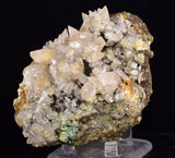 9.5cms CALCITE TOOTH DOG WITH QUARTZ CRYSTALS PERU SHINY MINERAL SPECIMEN GB46