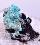 1.6cm AURICHALCITE CRYSTALS DURANGO MEXICO MINERAL SPECIMEN WB29