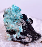 1.6cm AURICHALCITE CRYSTALS DURANGO MEXICO MINERAL SPECIMEN WB29