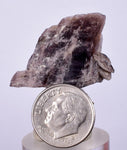 2.9cm GEM AXINITE CRYSTAL  PERU SUPER SHINY MINERAL SPECIMEN AB100