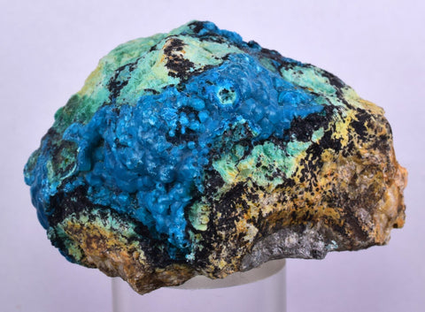 5.4cms QUARTZ CHRYSOCOLLA BOTRYOIDAL TENTADORA MINE PERU MINERAL SPECIMEN CB118