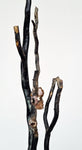 40cms GOLDEN BLACK CORAL POLISHED PERU NATURAL BRANCH SEA GENUINE VB05