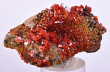 6cm VANADINITE HOLLANDITE CRYSTAL MIBLADEN MOROCCO  MINERAL SPECIMEN WB34