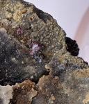 5.5cms PROUSTITE RUBY SILVER  QUARTZ PERU UCHUCCHACUA MINE MINERAL HB211