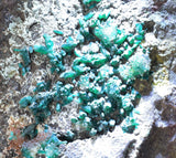 14.5cms DIOPTASE CRYSTALS PERU QUARTZ CHRYSOCOLLA MINERAL SPECIMEN KB41
