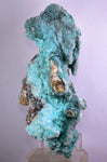 20cm GEM CHRYSOCOLLA IN SELENITE LILY MINE PERU MALACHITE STALACTITES CB359