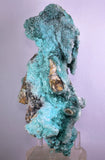20cm GEM CHRYSOCOLLA IN SELENITE LILY MINE PERU MALACHITE STALACTITES CB359