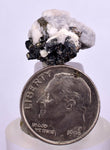 1.6cms NATIVE SILVER WIRE PERU ACANTHITE UCHUCCHACUA MINE MINERAL SPECIMEN HB196