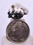 1.6cms NATIVE SILVER WIRE PERU ACANTHITE UCHUCCHACUA MINE MINERAL SPECIMEN HB196