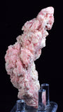 6.2 cms GEM RHODOCHROSITE CRYSTALS PERU MANUELITA MINE MINERAL SPECIMEN RB331