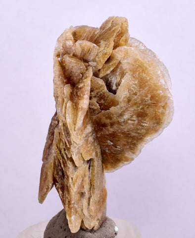 4.3 cms DESERT ROSE SELENITE CRYSTAL PERU GOLDEN SUISEKI TRANSLUCENT TB94