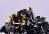 1.8cms GOLDEN RUTILE HEMATITE SPRAY NEEDLES CRYSTALS TITANIUM BAHIA BRAZIL  XB05