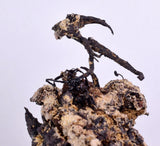 9.5cm NATIVE SILVER WIRES PERU UCHUCCHACUA MINE PYRITE PROUSTITE MANGANITE HB163