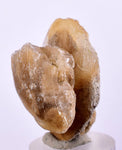 3.8 cms DESERT ROSE SELENITE CRYSTAL PERU GOLDEN SUISEKI TRANSLUCENT TB37