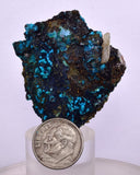 4.3cms QUARTZ CHRYSOCOLLA TENTADORA MINE PERU GRAPE BOTRYOIDAL CRYSTAL CB151